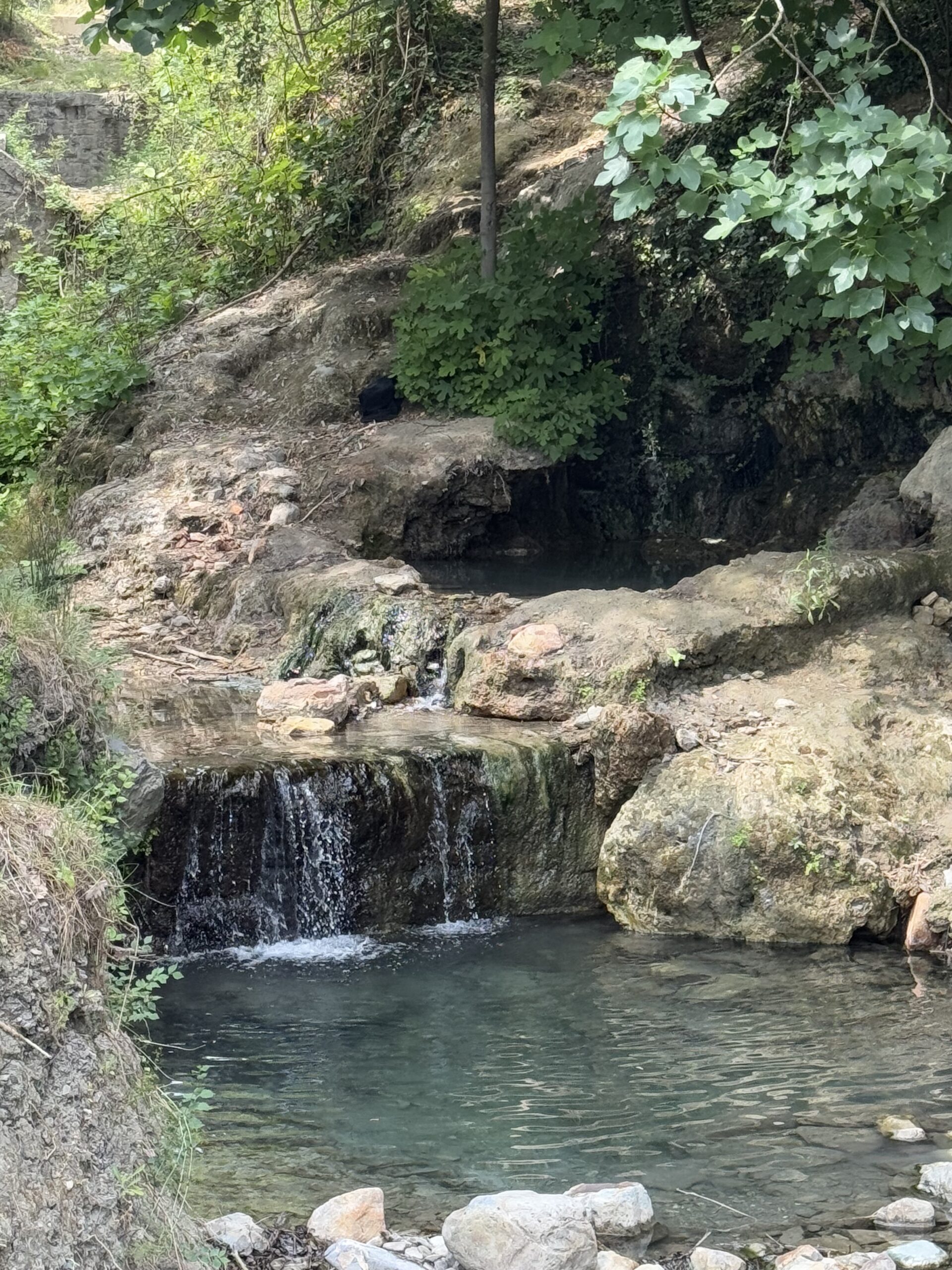 Private tours in Florence and Tuscany – tailor-made experiences